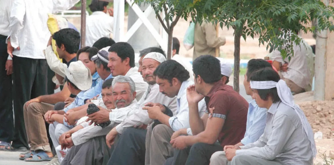 نرخ بیکاری جوانان در ایران: ارقام تکان دهنده