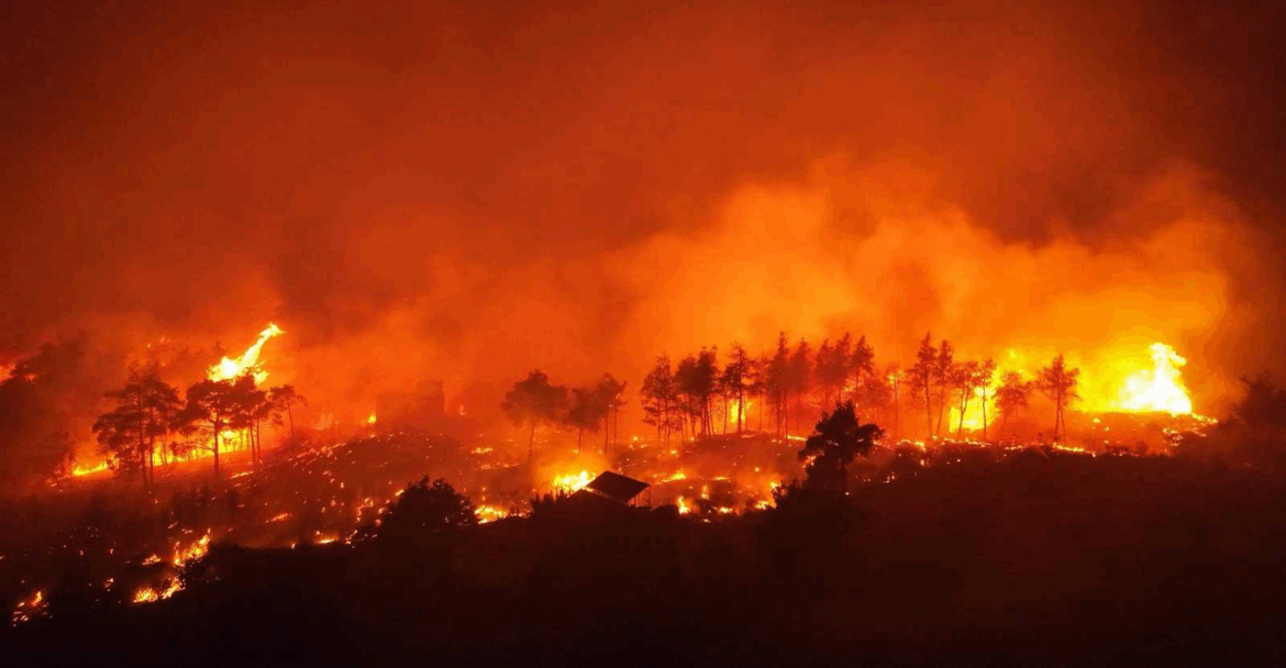 میزان آتش‌سوزی‌ها در ایران ۲۰۲۵ - آنچه اعداد پنهان می‌کنند