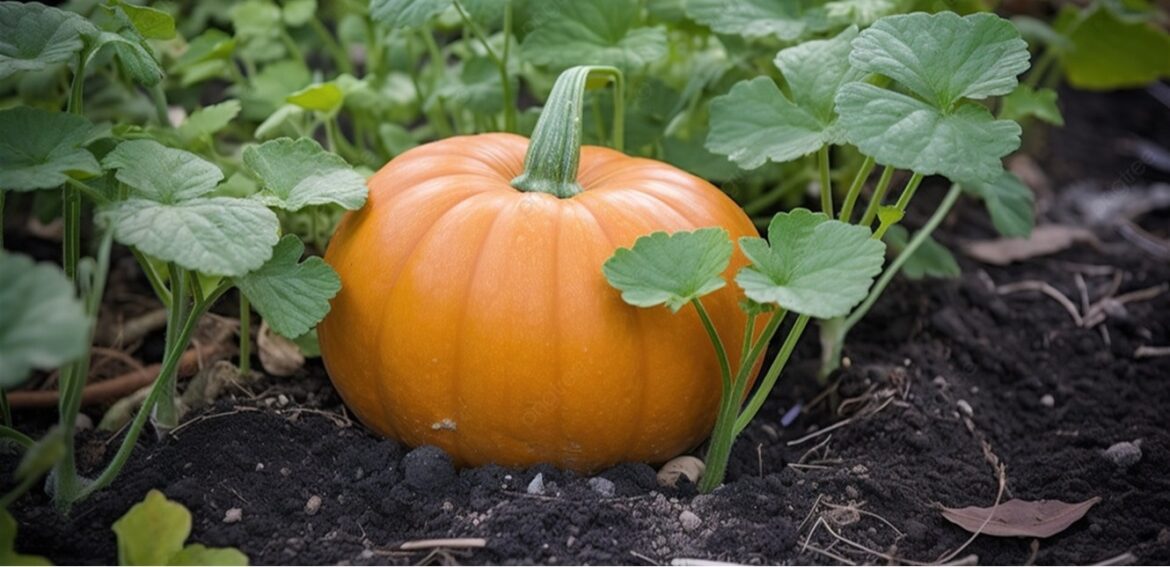 بهترین سبزیجات برای مبارزه با آنفولانزا: راهنمای طبیعی شما