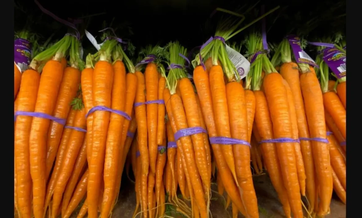 فواید هویج برای پوست: یک غذای ساده با تأثیر زیاد بر سلامت پوست