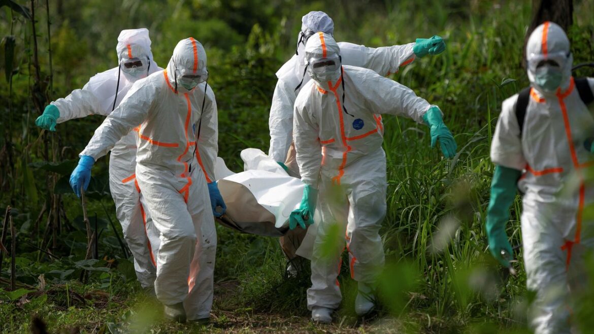 نرخ بیماری‌های واگیردار در جنوب ایران؛ آمار و چالش‌ها