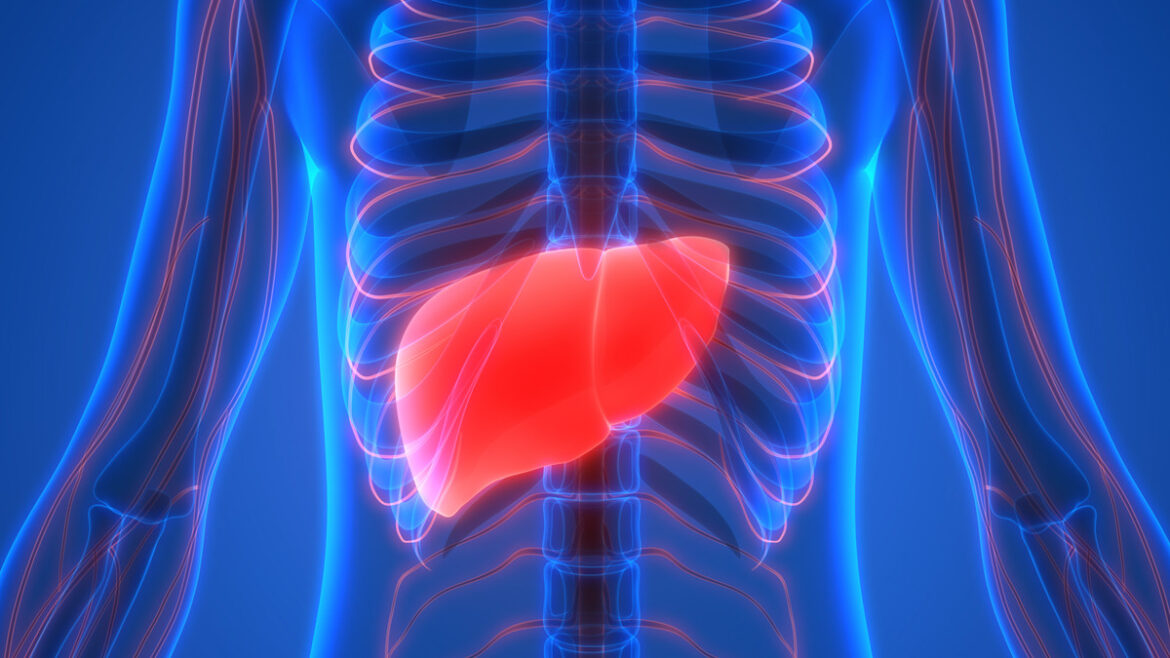 بیماری‌های کبدی در ايران، میزان شیوع و عوامل ابتلا 2025