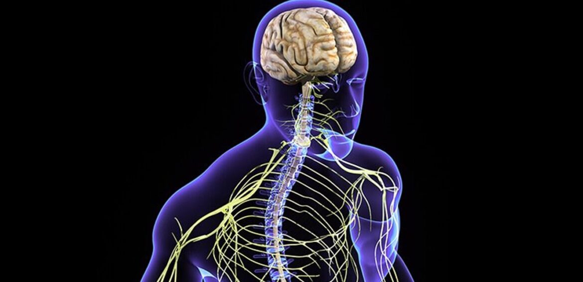بیماری‌های دستگاه عصبی بعد از جنگ.. ميان واقعيت و عدالت