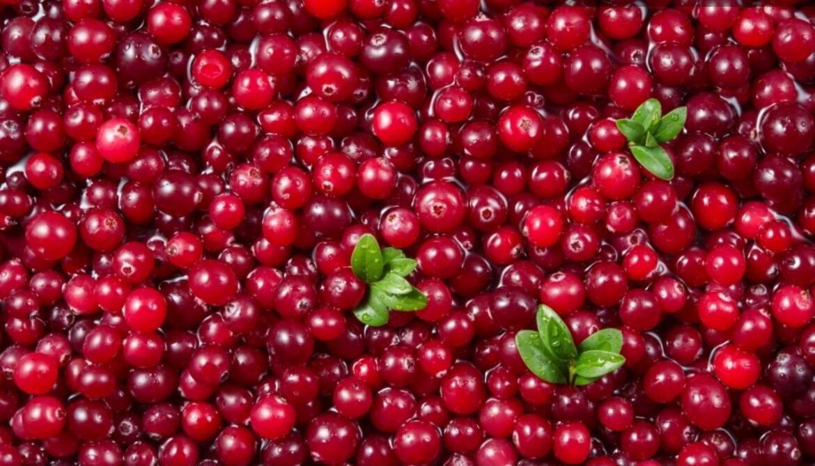 فواید توت بری برای کاهش وزن: راهکاری طبیعی و در دسترس