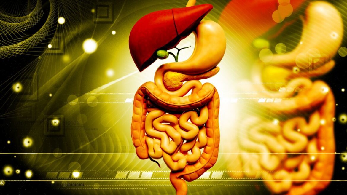 بیماری‌های گوارشی در ایران ۱۴۰۵