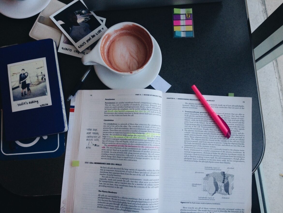 روش‌های صحیح مطالعه؛ راهکارهای ساده برای یادگیری بهتر